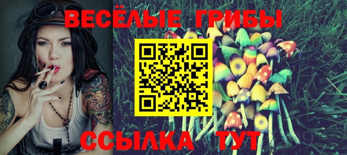 Кирово-Чепецк  Псилоцибиновые грибы Psilocybine cubensis  Вход с VPN 