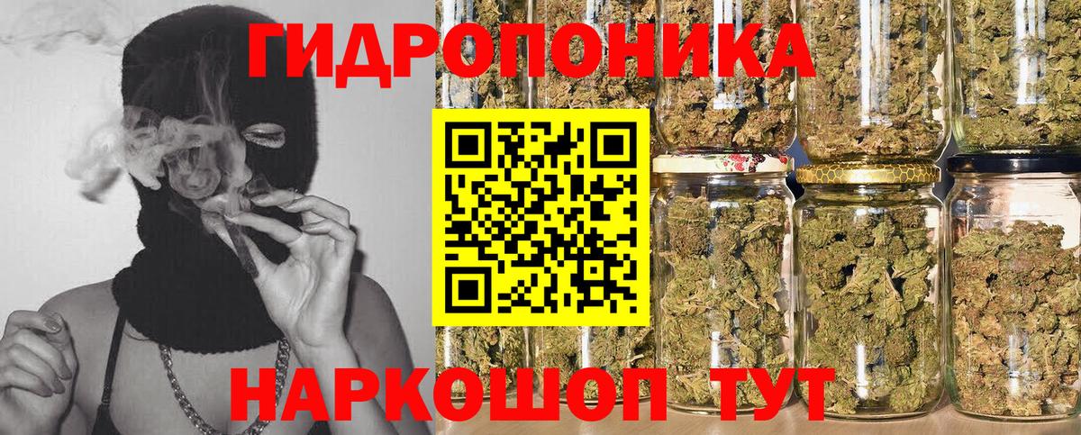 Шишки марихуана планчик Кирово-Чепецк
